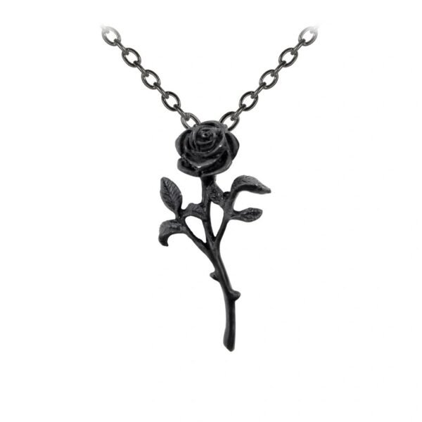 Romance of the Black Rose Necklace-Pewter Rose